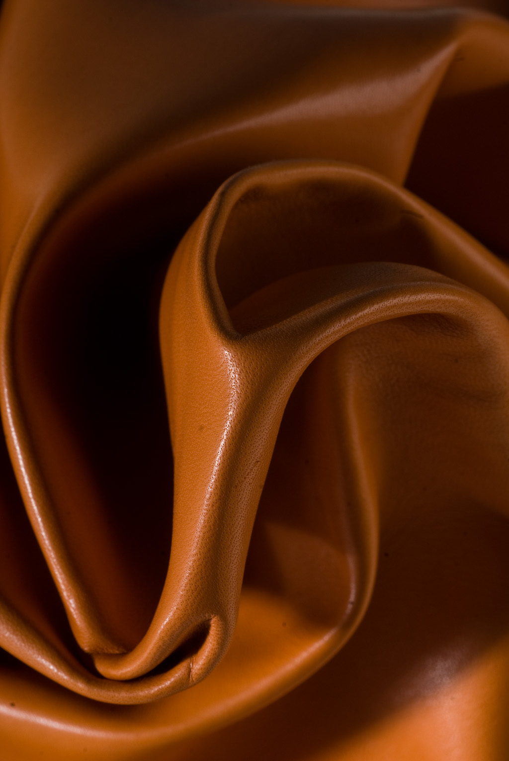 Premium leather close-up